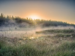 IMGP8340_HDR_Morgenstemning